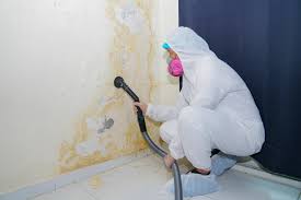 Best Mold Remediation for Healthcare Facilities  in Heyworth, IL